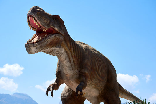 Don Your Dinosaur Tail And Visit Jurassic Kingdom This Summer